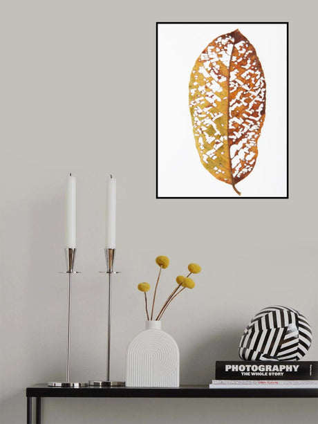Rainforst Leaf 02 Poster och Canvastavla