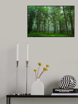 Forest View Poster och Canvastavla