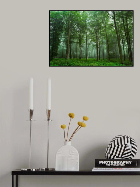 Forest View Poster och Canvastavla