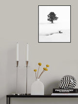 Le solitaire Poster och Canvastavla