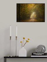 Autumn forest Poster och Canvastavla