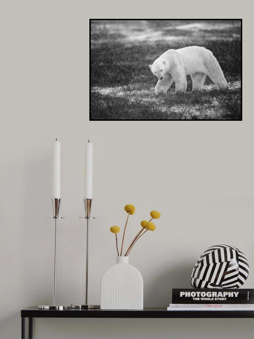 Snowfall Poster och Canvastavla