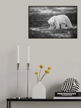 Snowfall Poster och Canvastavla