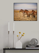 Przewalski 's horses Poster och Canvastavla