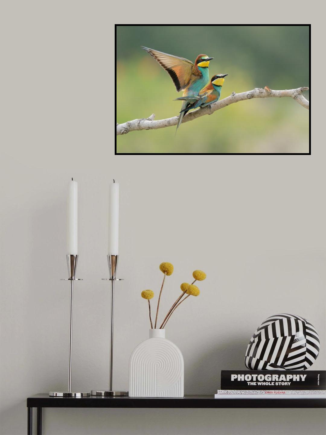 Love is in the air Poster och Canvastavla