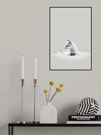 Snow Fox Poster och Canvastavla