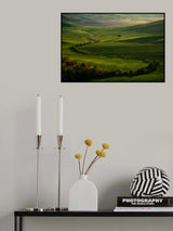 Curlicue Poster och Canvastavla
