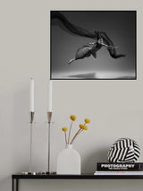 Flying Poster och Canvastavla