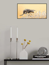 Bubble bar... Poster och Canvastavla