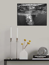 bubbles Poster och Canvastavla