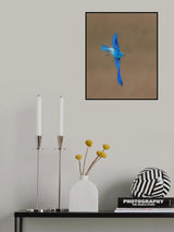 Mountain Bluebird Poster och Canvastavla