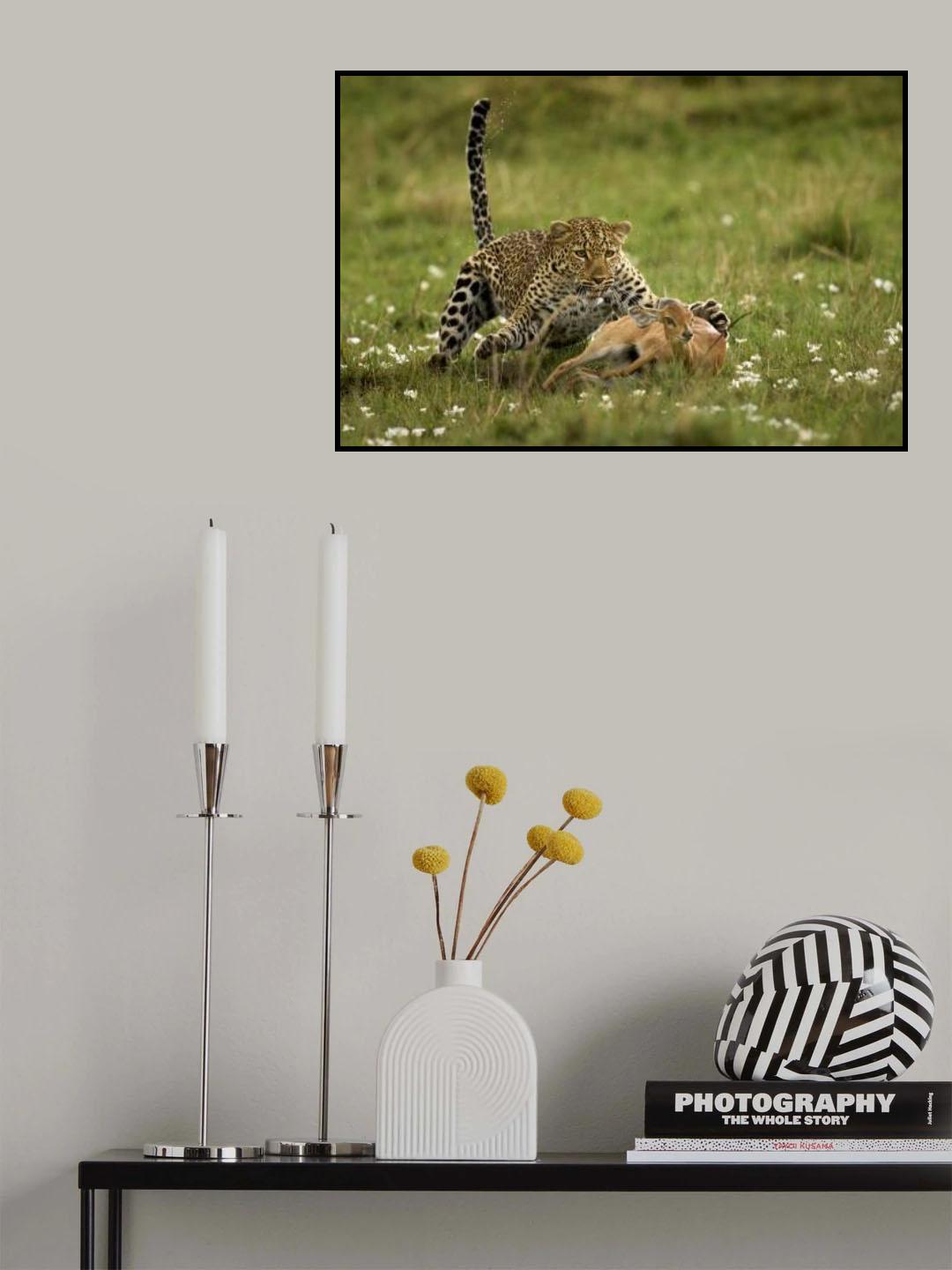 Leopard Surprise Poster och Canvastavla