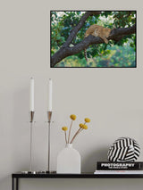 Beauty on the tree Poster och Canvastavla