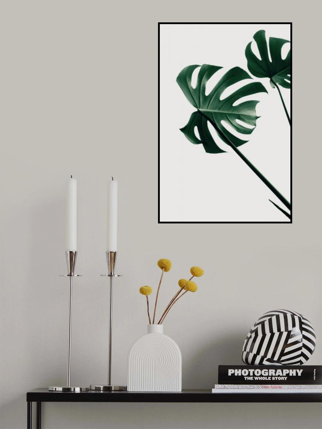 Monstera Natural 47 Poster och Canvastavla