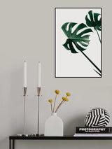 Monstera Natural 47 Poster och Canvastavla
