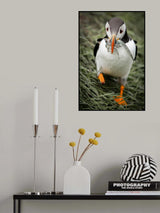 survive Poster och Canvastavla