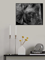Skin Poster och Canvastavla