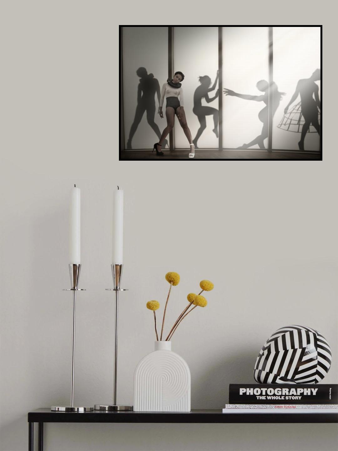 Shadow cabinet Poster och Canvastavla