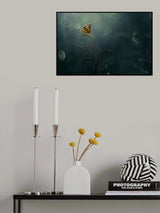 Butterfly in the Morning with Bokeh Poster och Canvastavla
