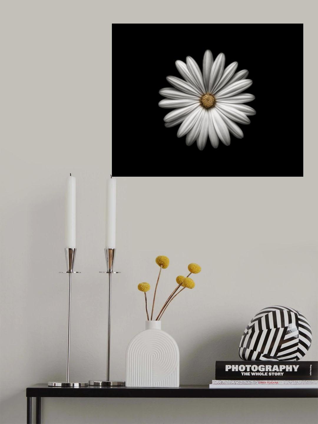 Gerbera Poster och Canvastavla