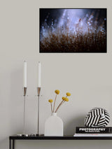 Ladybug and Dew Poster och Canvastavla