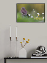 180 degrees Poster och Canvastavla