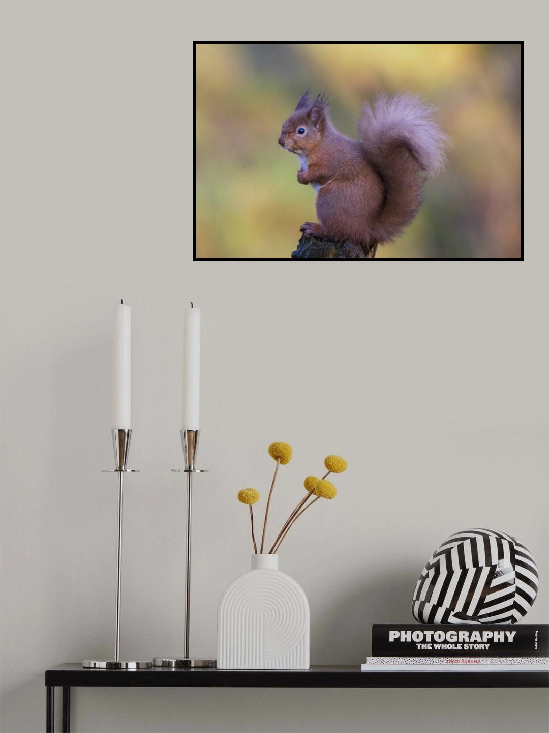 Grumpy Poster och Canvastavla