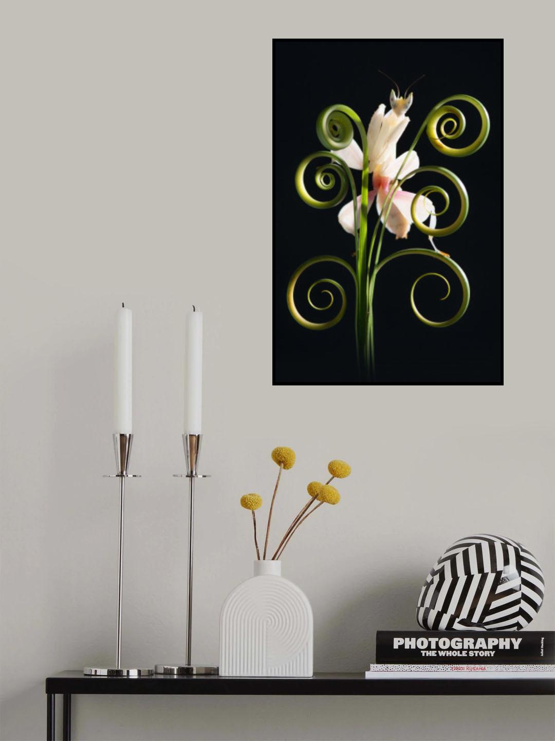 Orchid Mantis Poster och Canvastavla