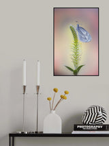 Wood White Poster och Canvastavla