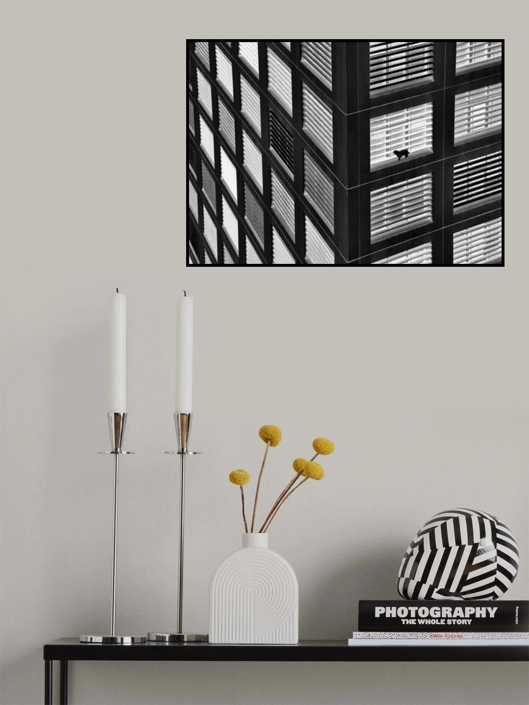 Live fearlessly Poster och Canvastavla