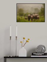 Wildebeest under the rain Poster och Canvastavla