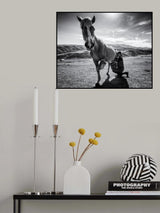 Horse milk Poster och Canvastavla
