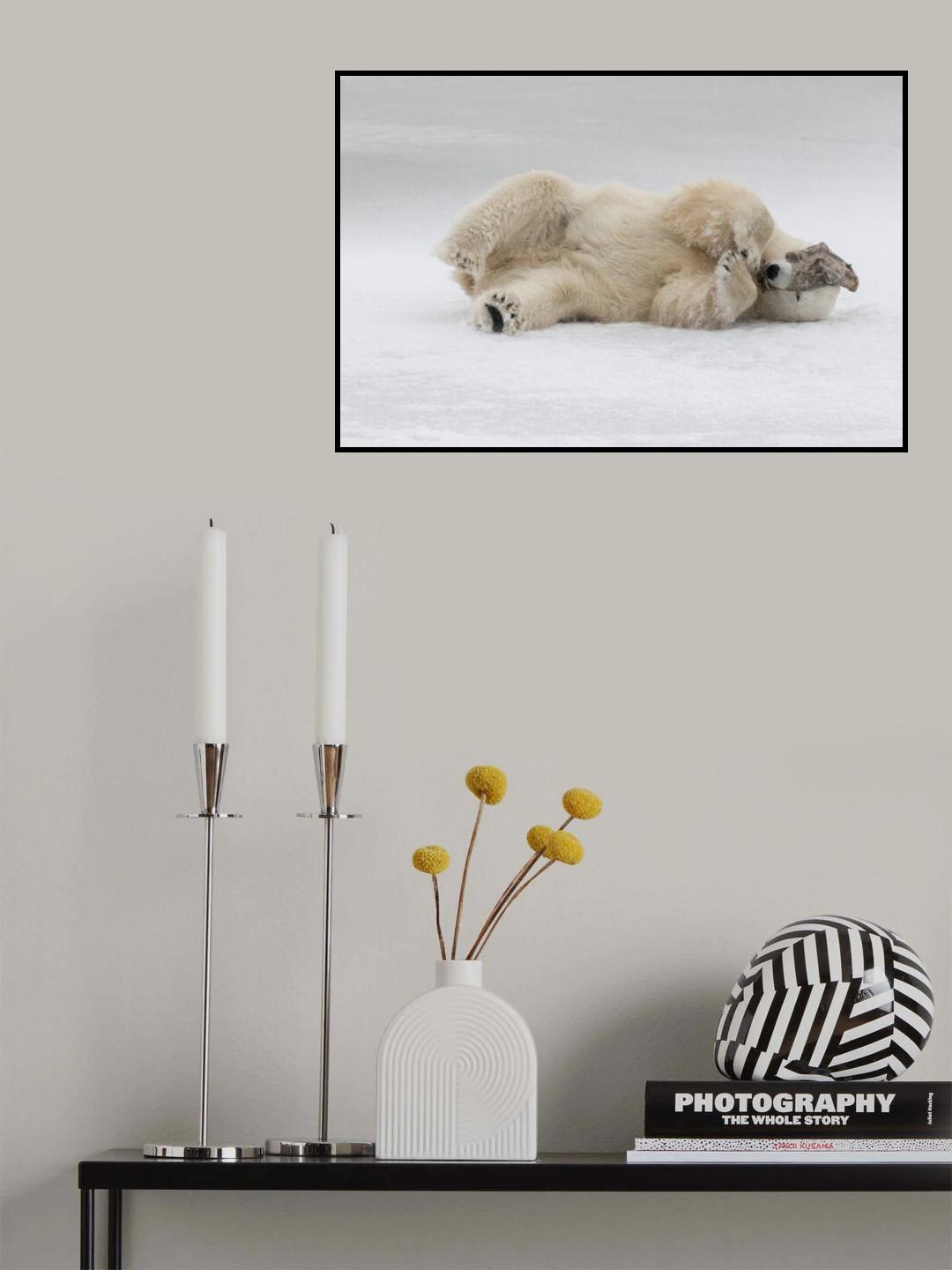 Shy Bear Poster och Canvastavla