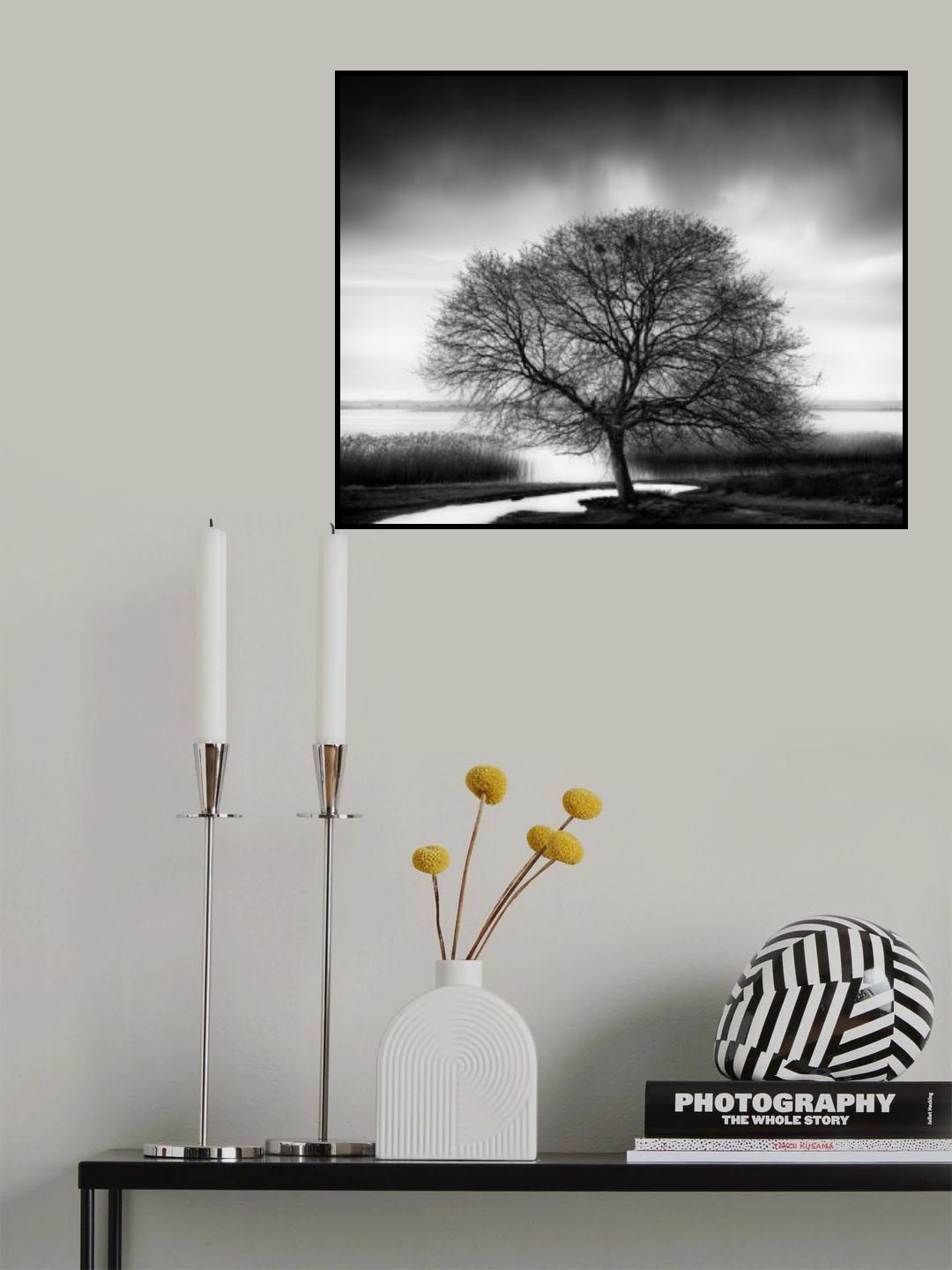 Tree by the Lake Poster och Canvastavla