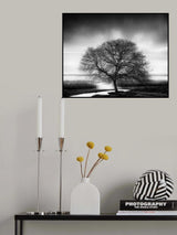 Tree by the Lake Poster och Canvastavla