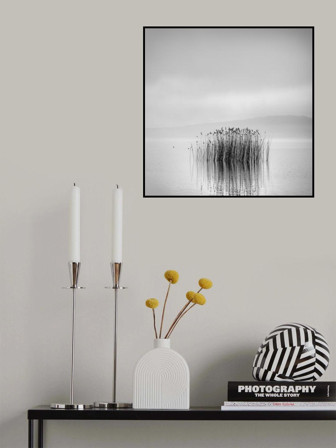 Morning Silence Poster och Canvastavla