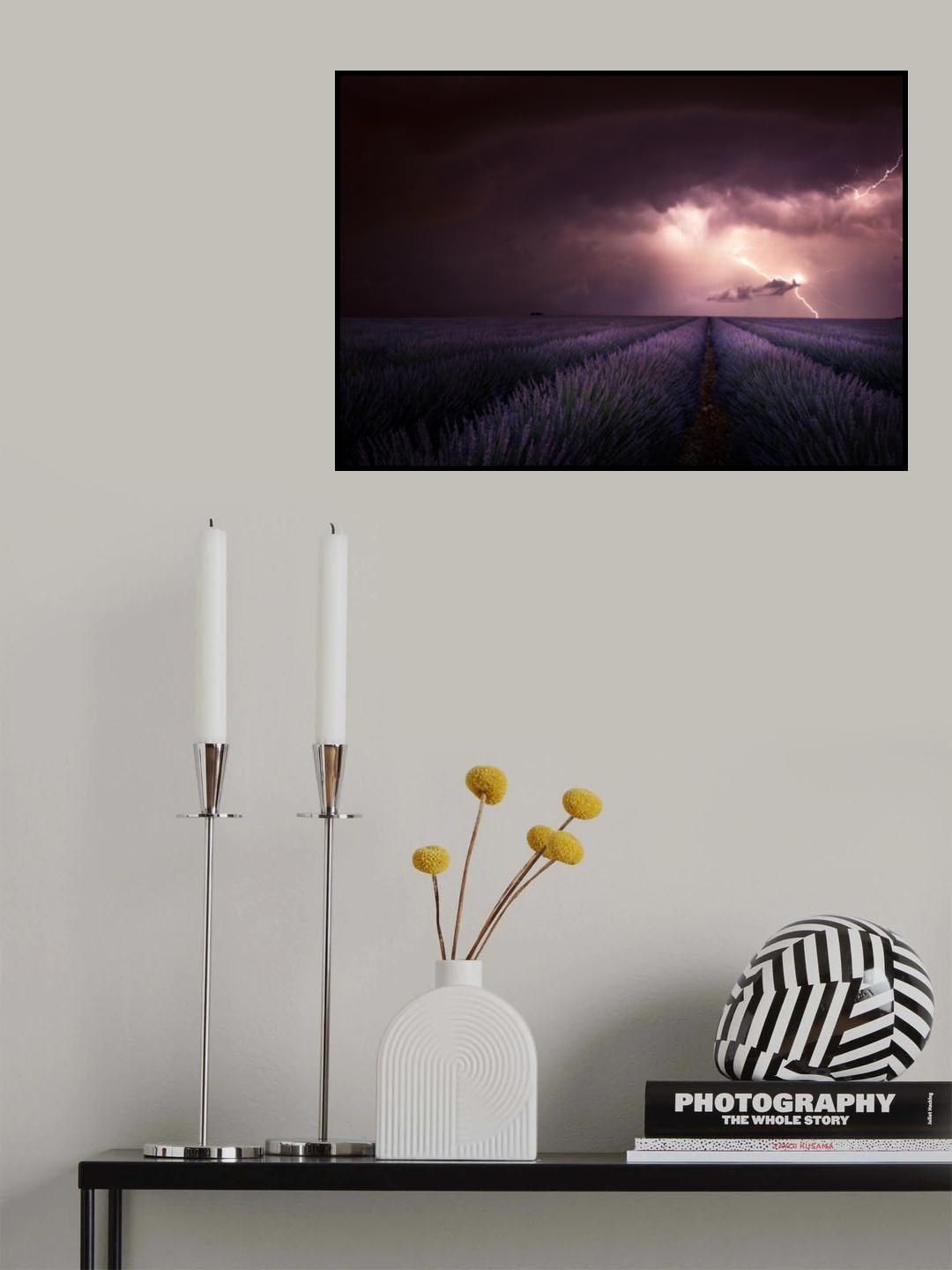 Lavender fragrance Poster och Canvastavla