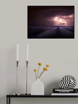 Lavender fragrance Poster och Canvastavla