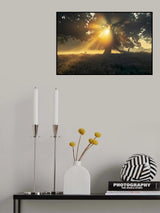 Under the tree Poster och Canvastavla