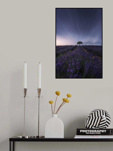 The tree and the lavender Poster och Canvastavla