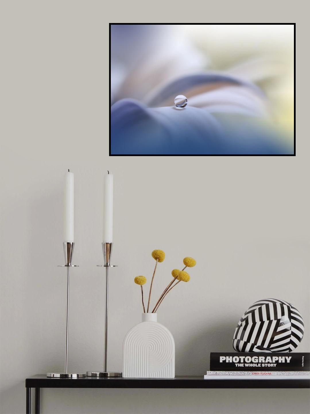 Innocence.. Poster och Canvastavla