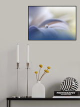Innocence.. Poster och Canvastavla