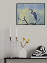Fall Is Coming Poster och Canvastavla