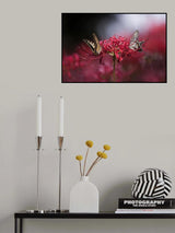 Together Poster och Canvastavla