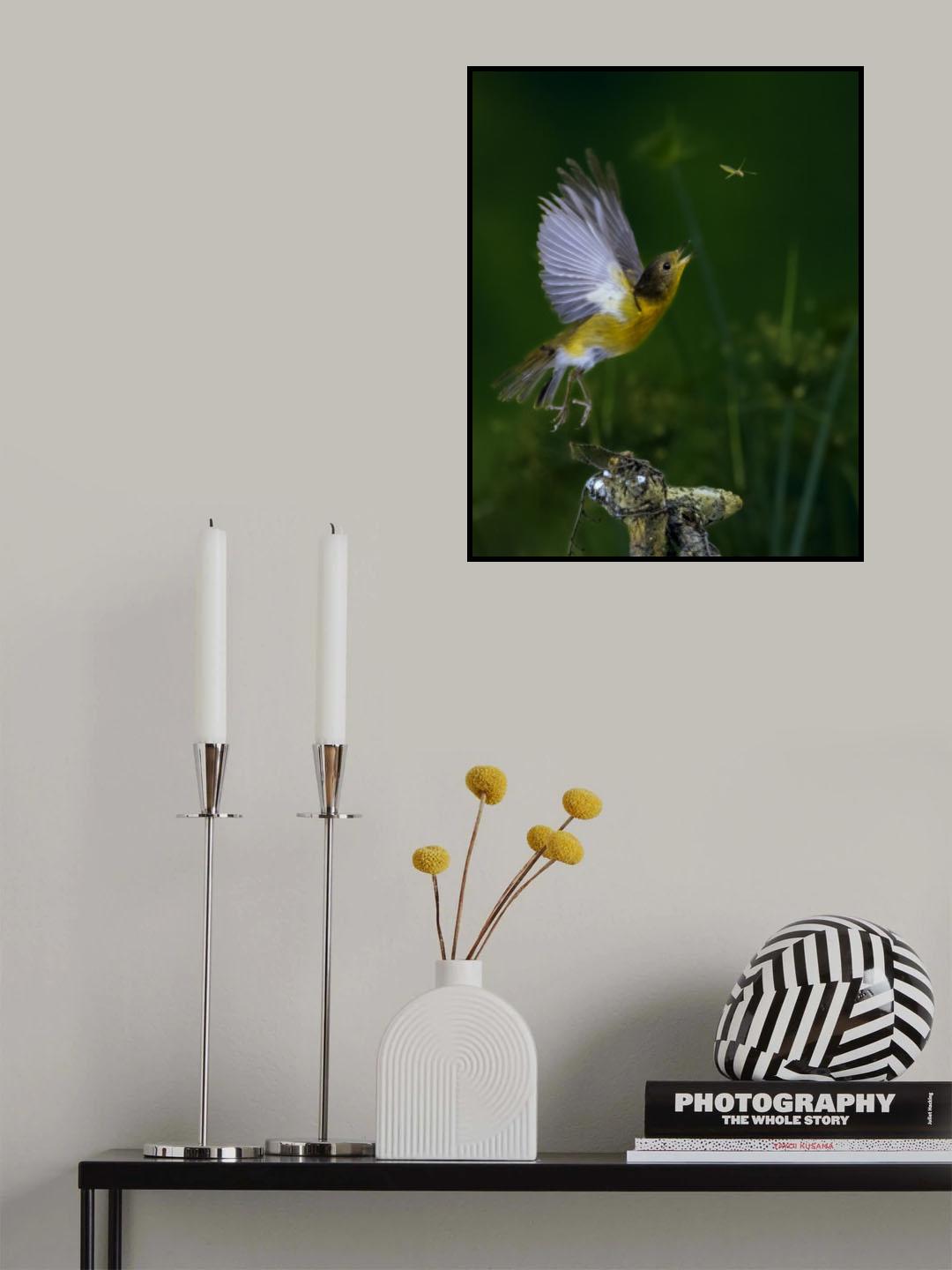 Poster och Canvastavla
