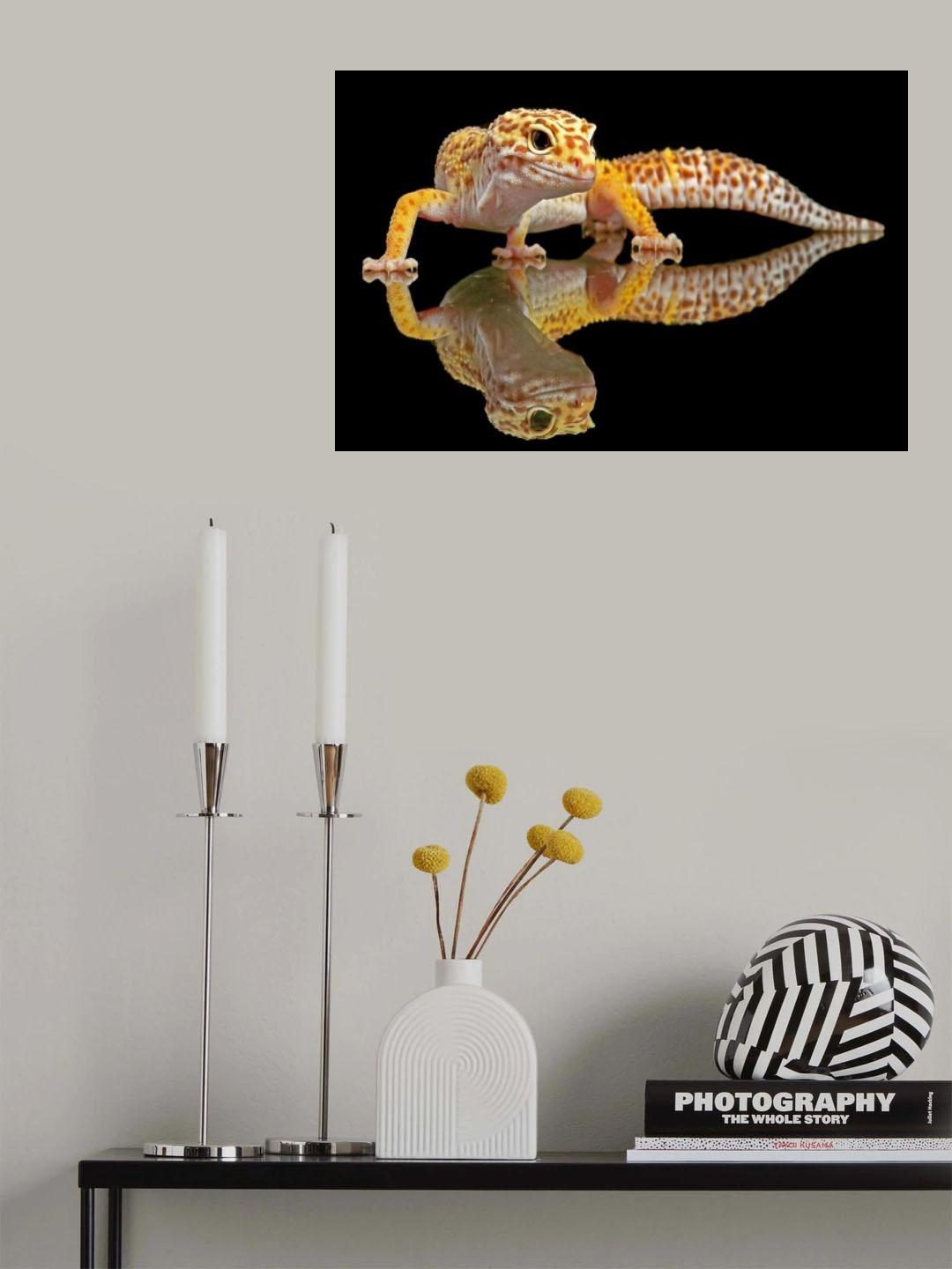 Leopard Gecko Poster och Canvastavla