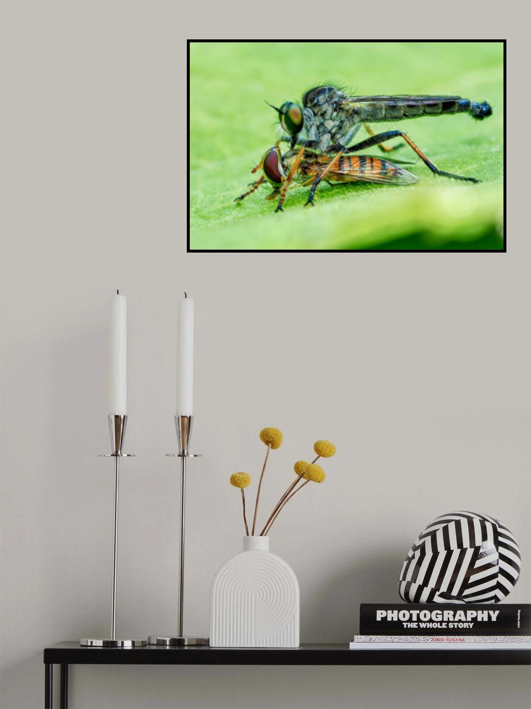 To live Poster och Canvastavla