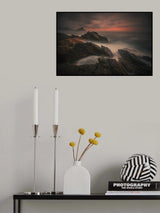 Sea dragon Poster och Canvastavla