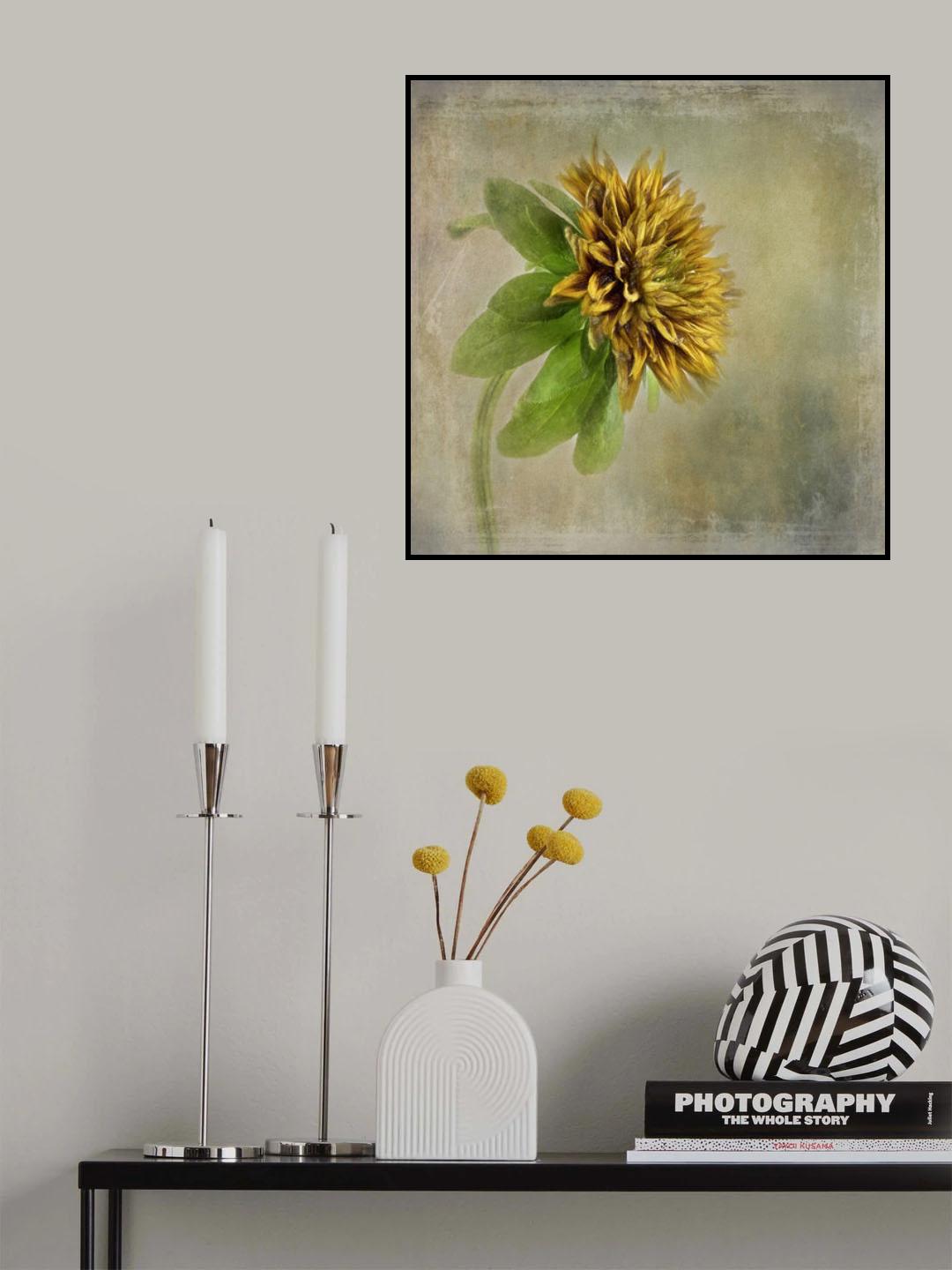 Flower Portrait Poster och Canvastavla