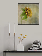 Flower Portrait Poster och Canvastavla